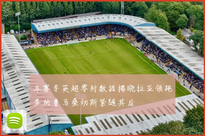 本赛季英超零封数据揭晓拉亚领跑多纳鲁马桑切斯紧随其后