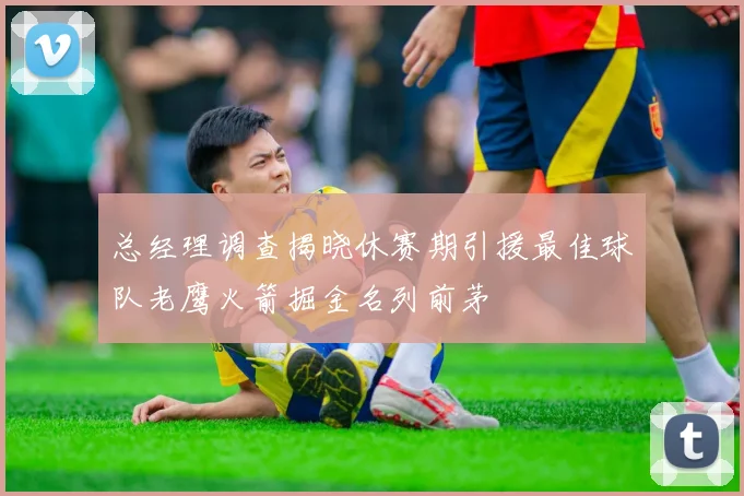 总经理调查揭晓休赛期引援最佳球队老鹰火箭掘金名列前茅