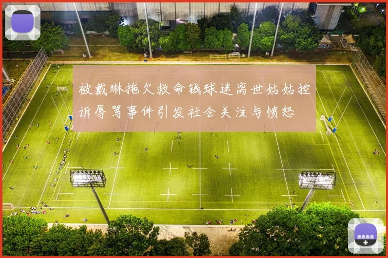 被戴琳拖欠救命钱球迷离世姑姑控诉辱骂事件引发社会关注与愤怒