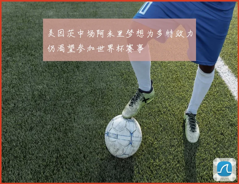 美因茨中场阿米里梦想为多特效力仍渴望参加世界杯赛事